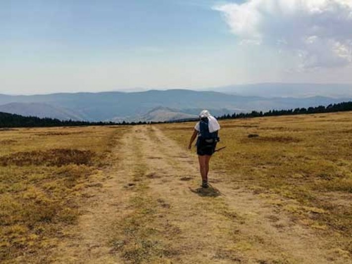 Photo d'une femme faisant une randonnée au milieu de la nature